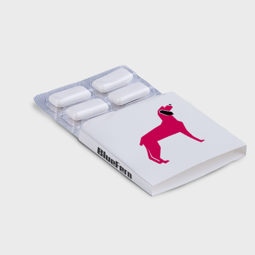 Chewing-gum 6 pièces